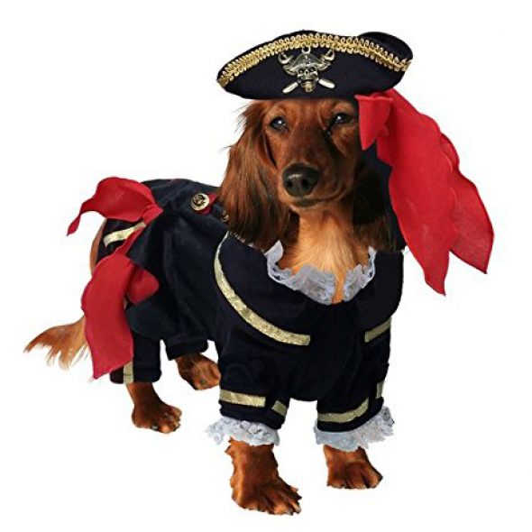 Buccaneer Pirate Costume