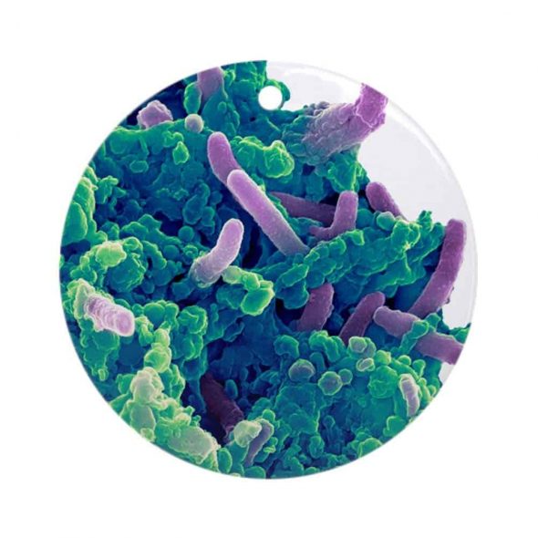 CafePress Bacteria Infecting A Macrophage Round Christmas Ornament