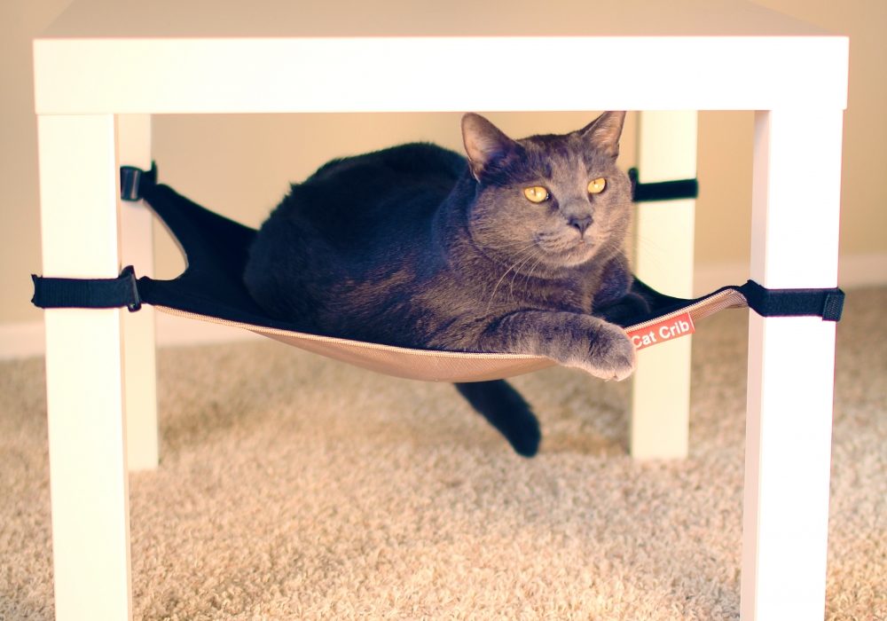 Cat Crib Cat Hammock NoveltyStreet