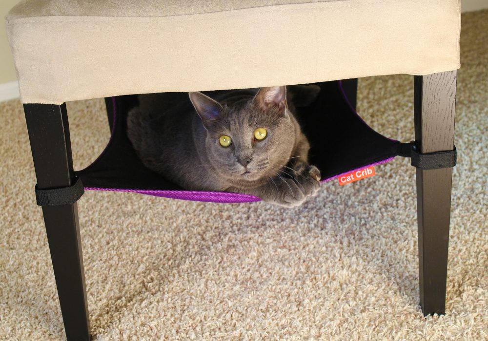 Cat Crib Cat Hammock NoveltyStreet