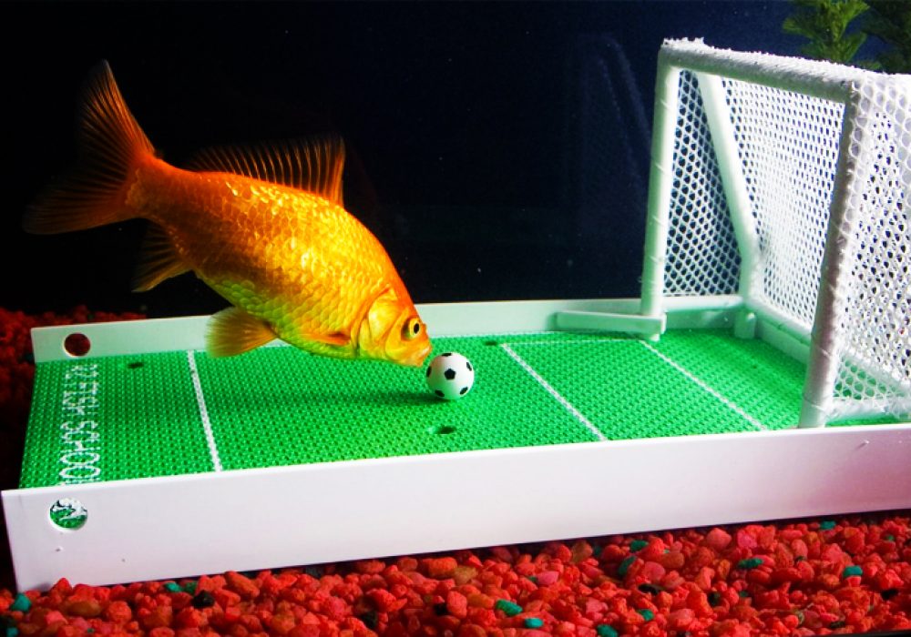 R2 Fish School NoveltyStreet