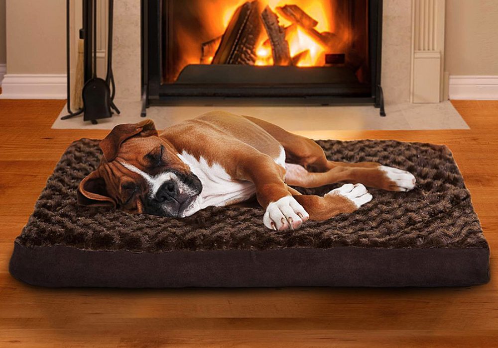 Furhaven Pet Orthopedic Pet Bed Mattress NoveltyStreet