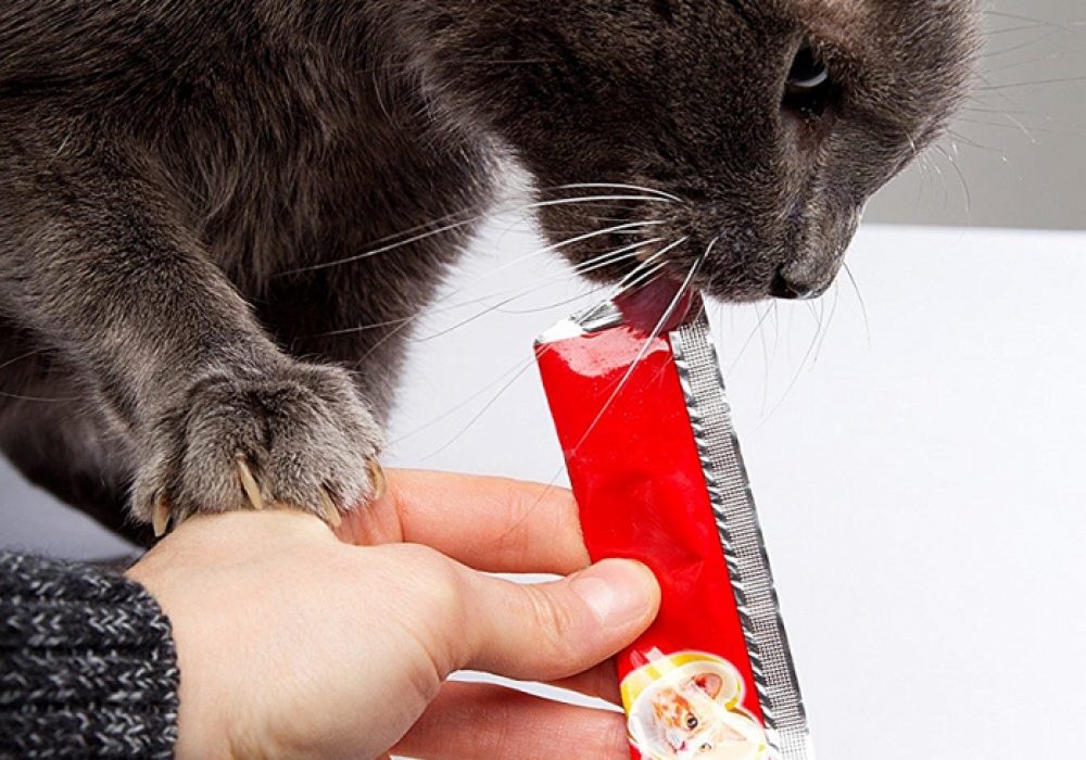 Hartz Delectables Squeeze Up Cat Treat NoveltyStreet