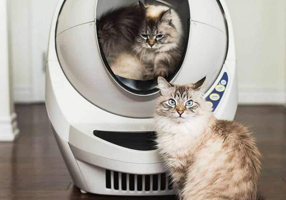 litter robot iii amazon