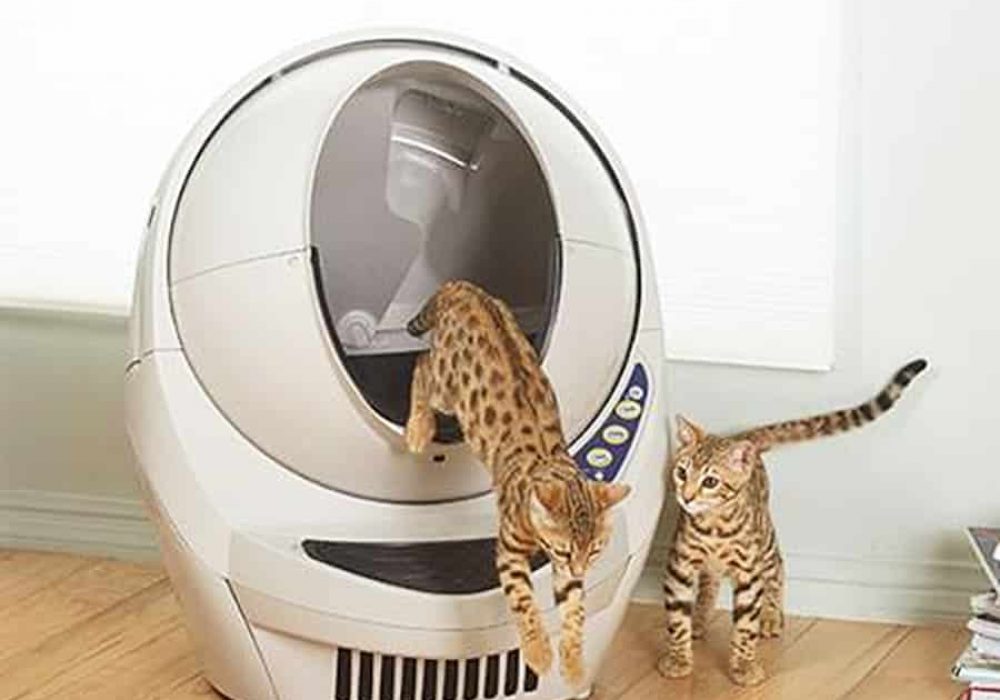 Litter-Robot III Open Air Automatic Self-Cleaning Cat ...