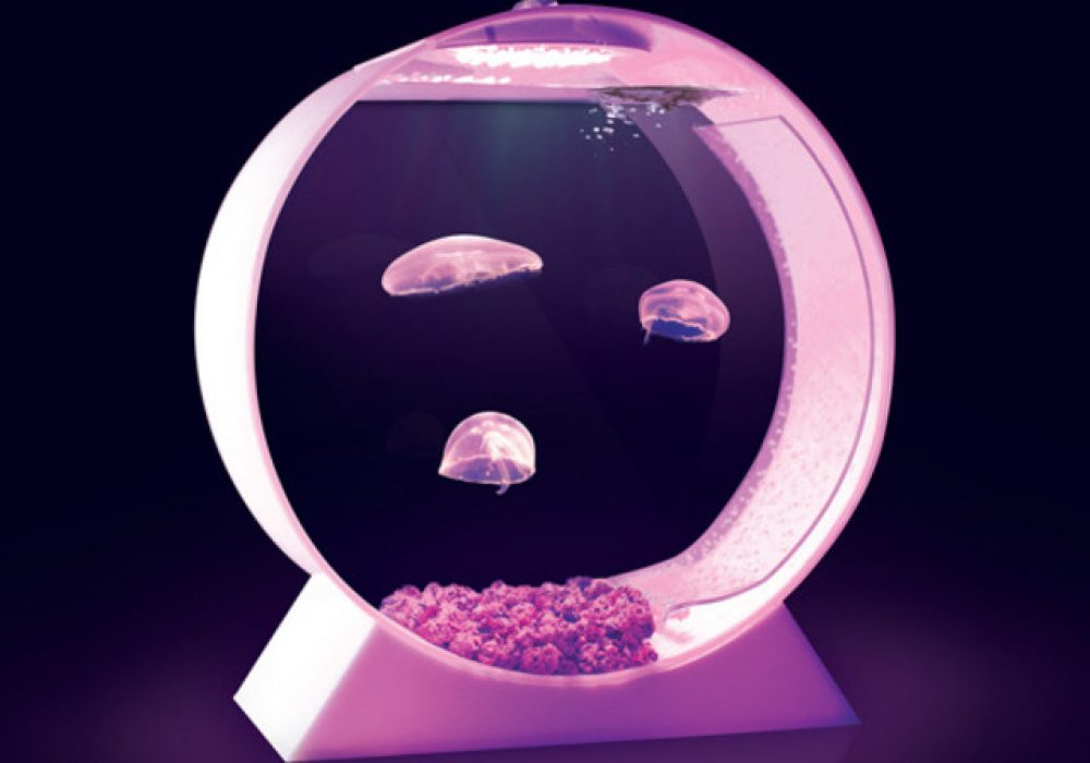 Moon JellyFish Desktop Tank - NoveltyStreet