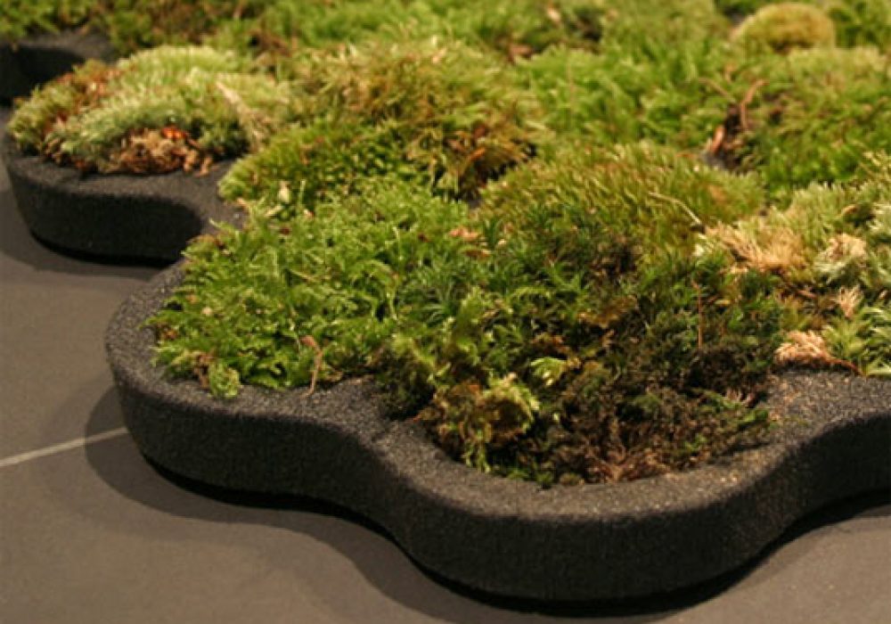 Moss Bath Rug Noveltystreet