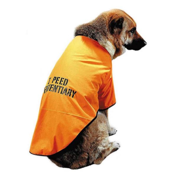 Orange-Penitentiary-Dog-Outfit.jpg