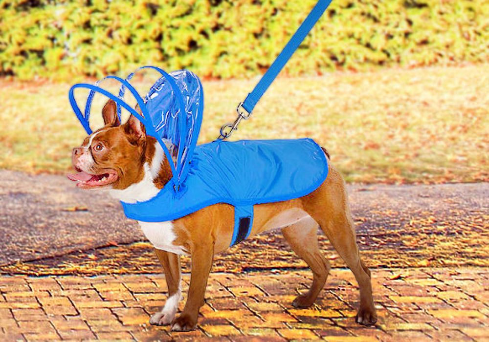 Push Pushi Rainbow Dog Raincoat NoveltyStreet