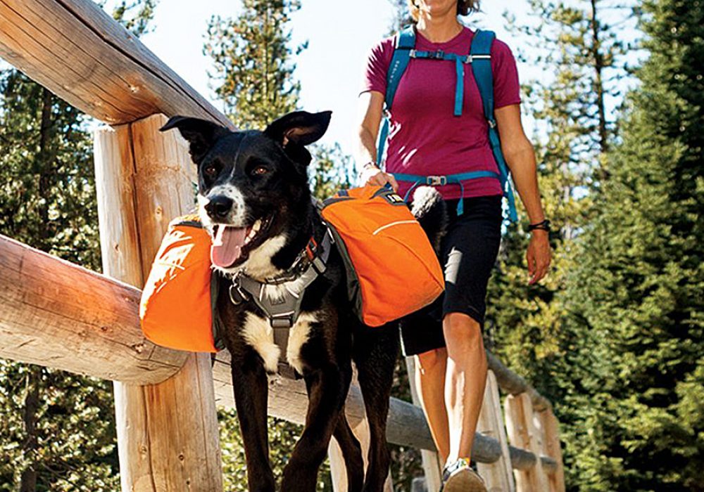 Ruffwear Approach Dog Backpack NoveltyStreet