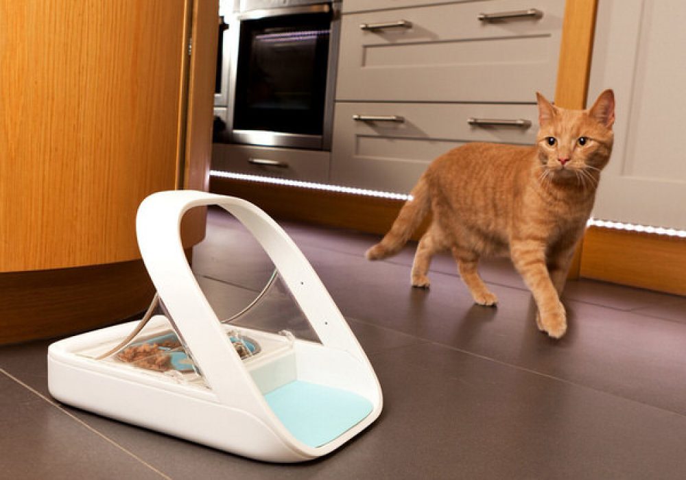 where to buy sureflap microchip cat feeder