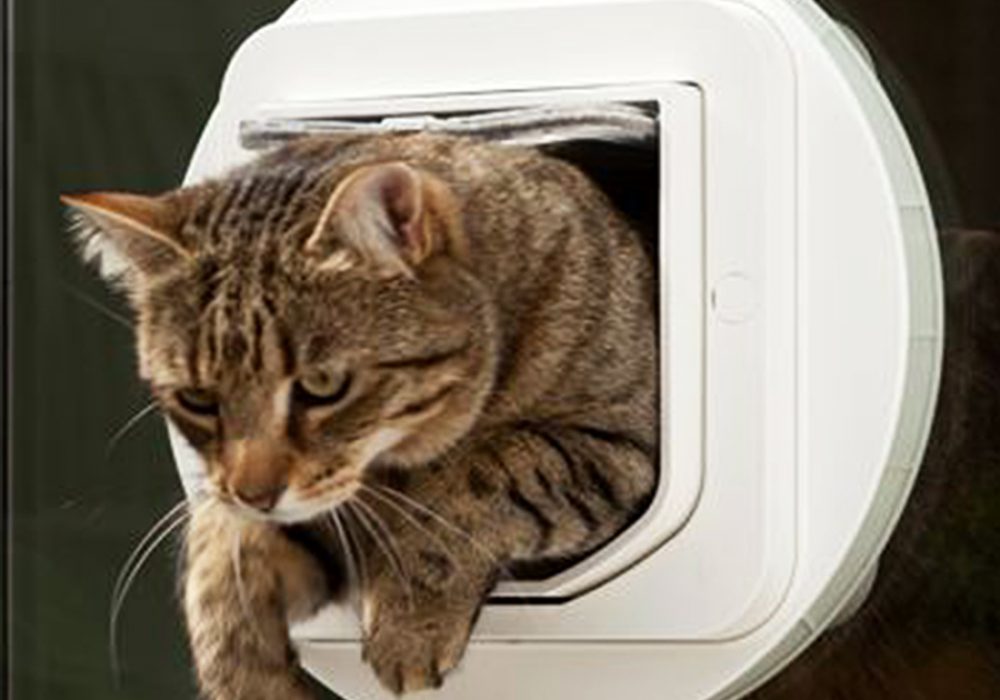 SureFlap Microchip Pet Door NoveltyStreet