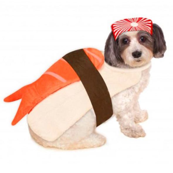 Sushi-Dog-Costume.jpg