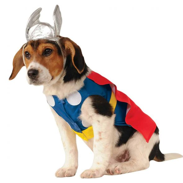 Thor-Pet-Costume.jpg