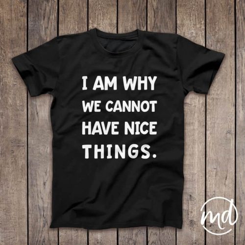 Toddler Shirt I Am Why We Cannot Have Nice Things
